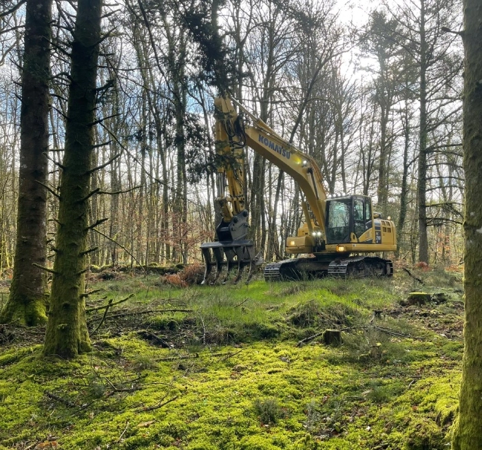 Travaux forestier Nouvelle Aquitaine